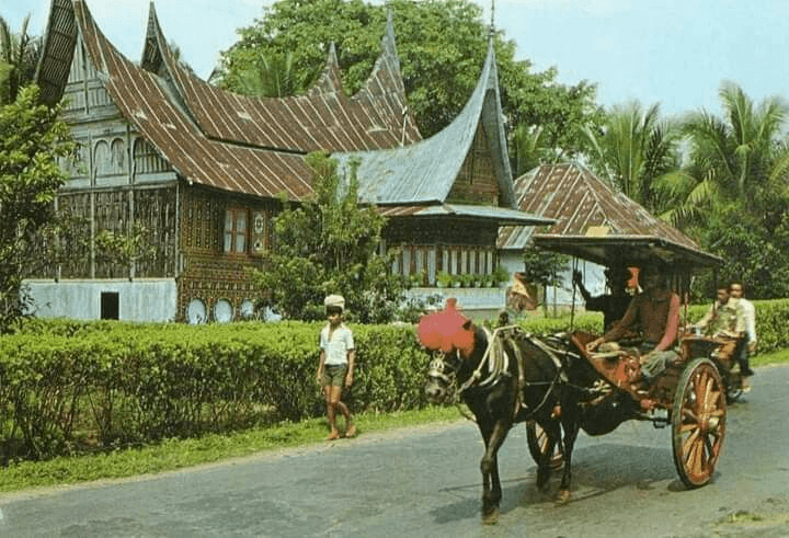 Goyang nasi padang